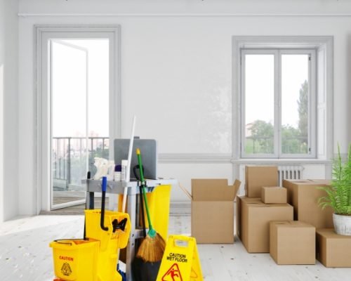 Ana's Cleaning-Move Cleaning